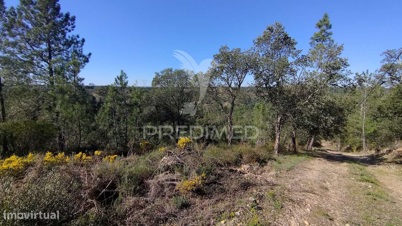 Terreno Rústico 4280 m2 - Grande imagem: 5/33