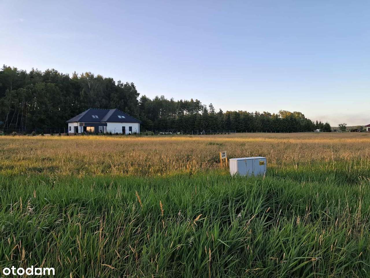 Działka w Dobrej Szczecińskiej 3555 m2 - Pełny obrazek: 5/10