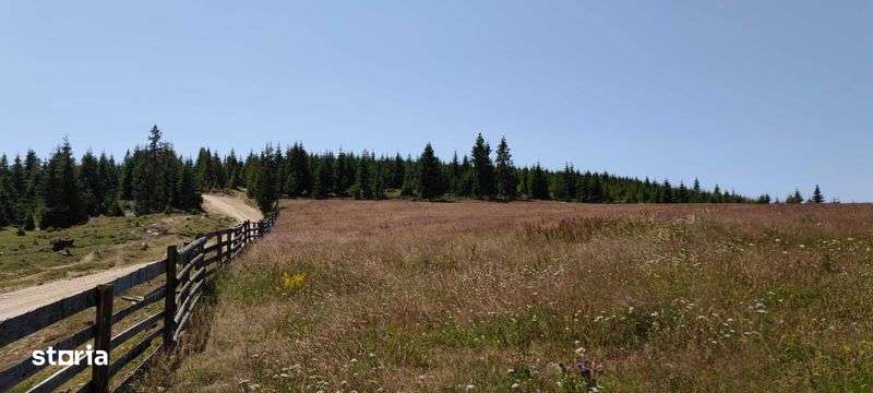 Teren Maguri-Racatau - Imagine principală: 5/6