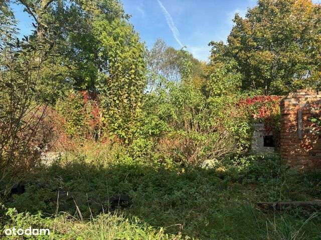 Sprzedam nieruchomość w Radostawiu Dolnym!!! - Pełny obrazek: 5/6