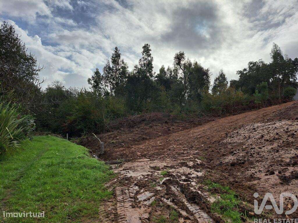 Terreno em Anta e Guetim - Grande imagem: 5/5