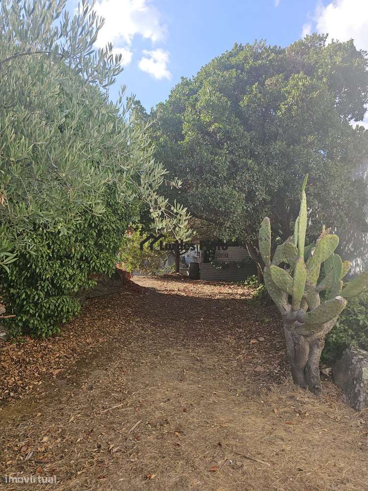 Quinta com moradia-15