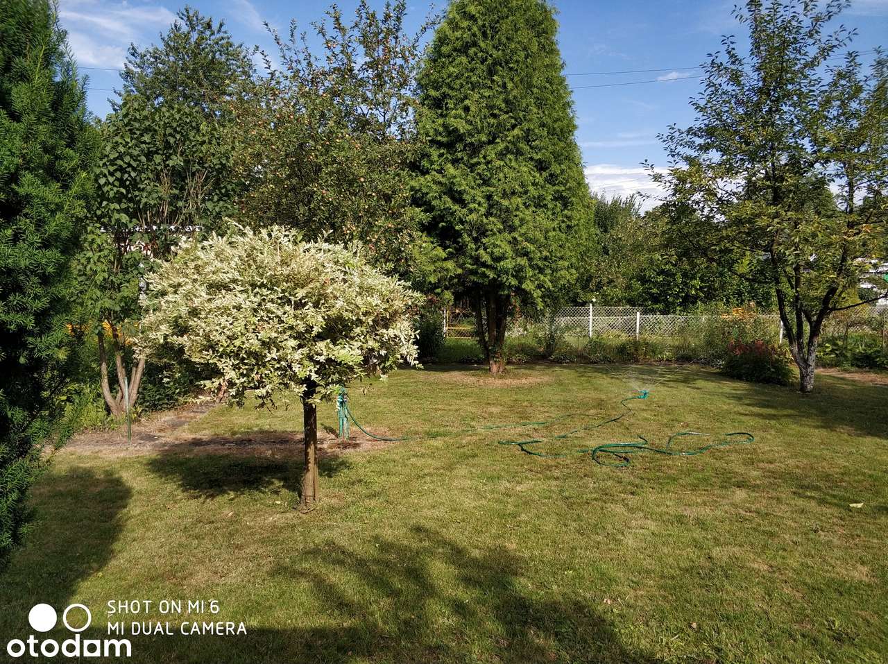 Działka rekreacyjna w ROD Małe Błonia