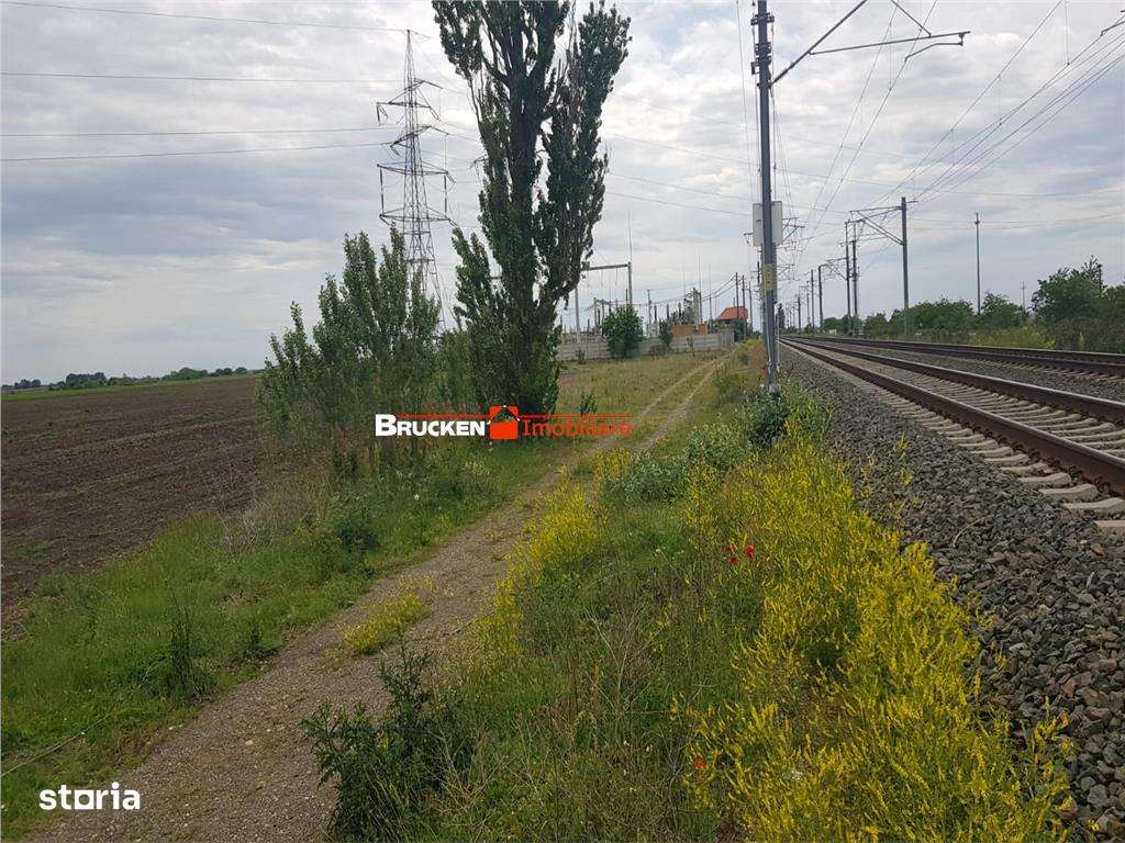 113,21 ha in nordul Aradului, la iesirea de pe drumul expres-5