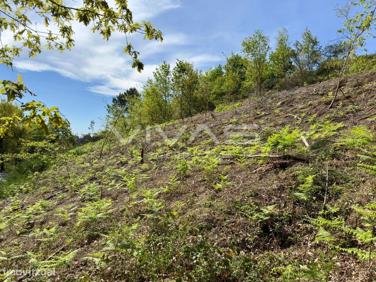 Terreno para construção em Ponte, Vila Verde - Grande imagem: 4/8