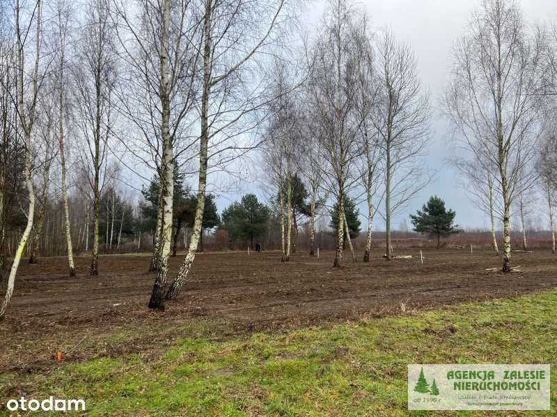PRAŻMÓW, CENTRUM - trzy działki  budowlane blisko szkoły podstawowej-1