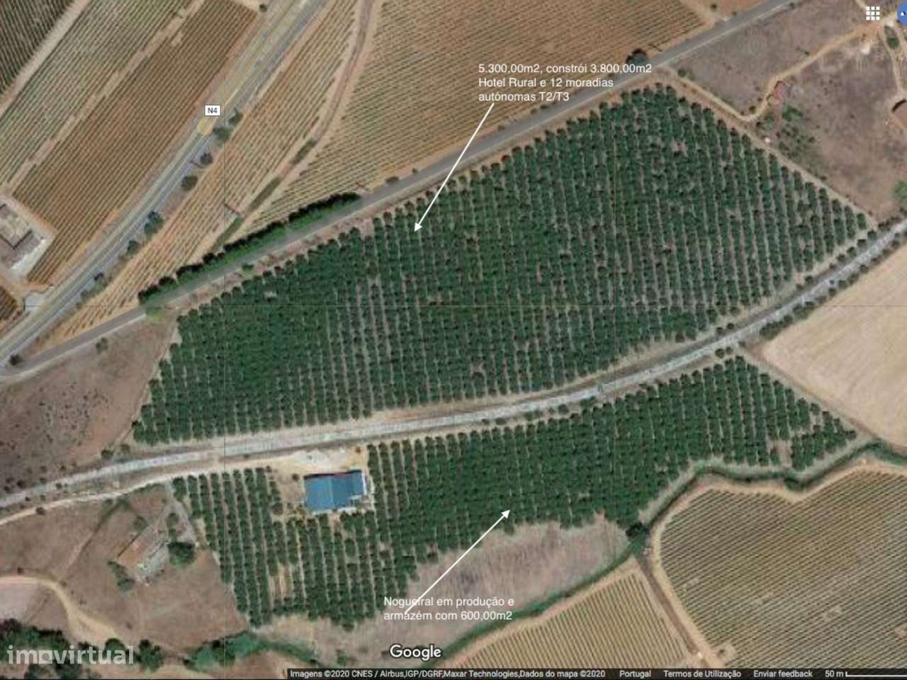 Estremoz Évora herdade 5ha projeto aprovado hotel Rural 4*e nogueir...-10