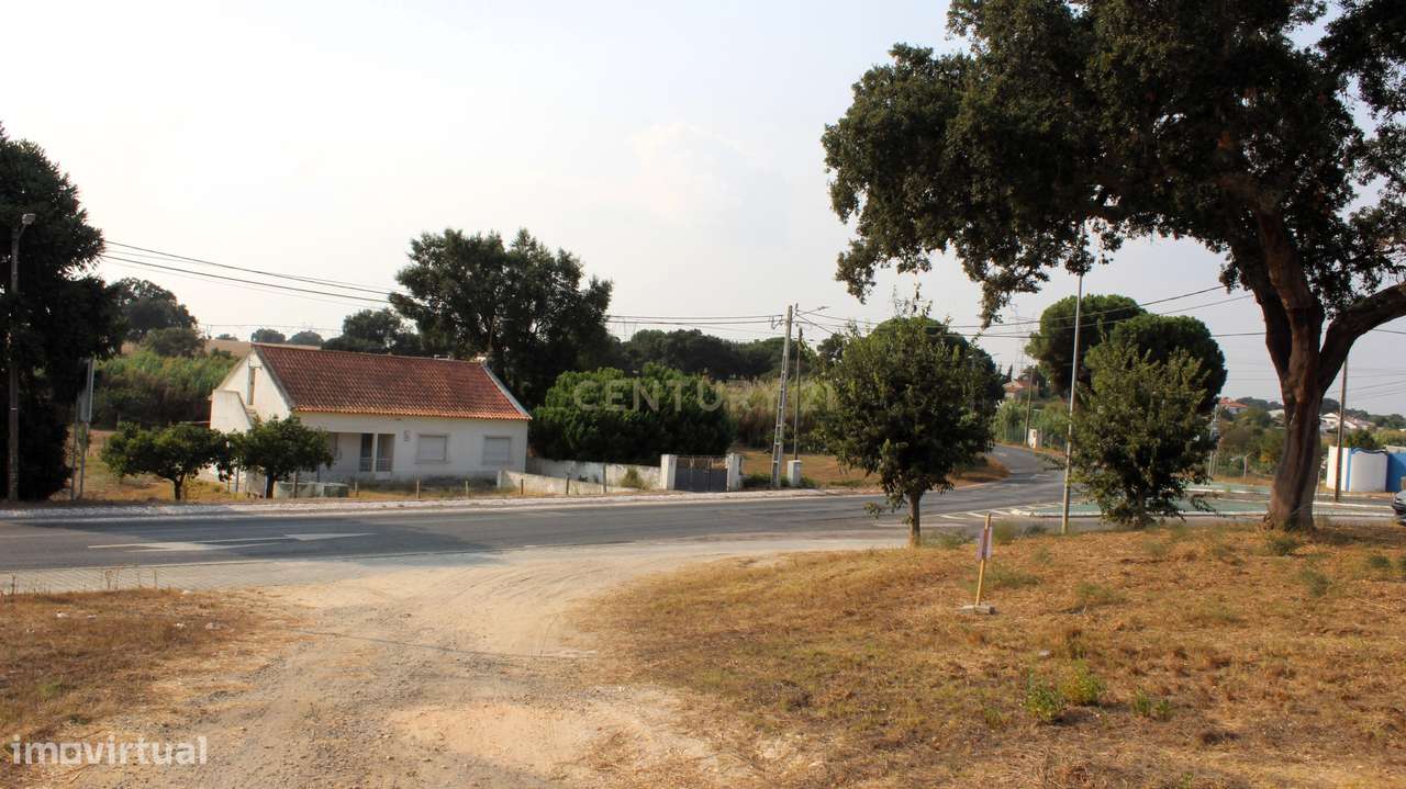Terreno à venda em Águas de Moura, concelho de Palmela - Um refugio de - Grande imagem: 4/13