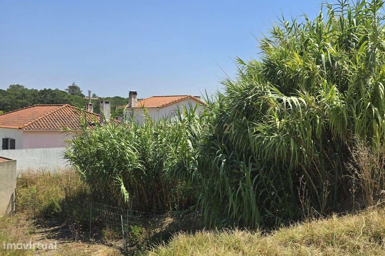 Terreno Rústico em Quinta da Oliva, com Acesso e Boa Localização - Grande imagem: 3/5