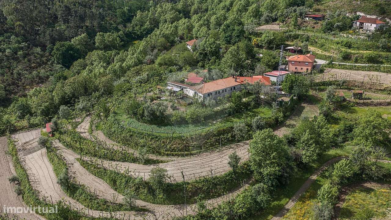 Quinta T4 para venda-36
