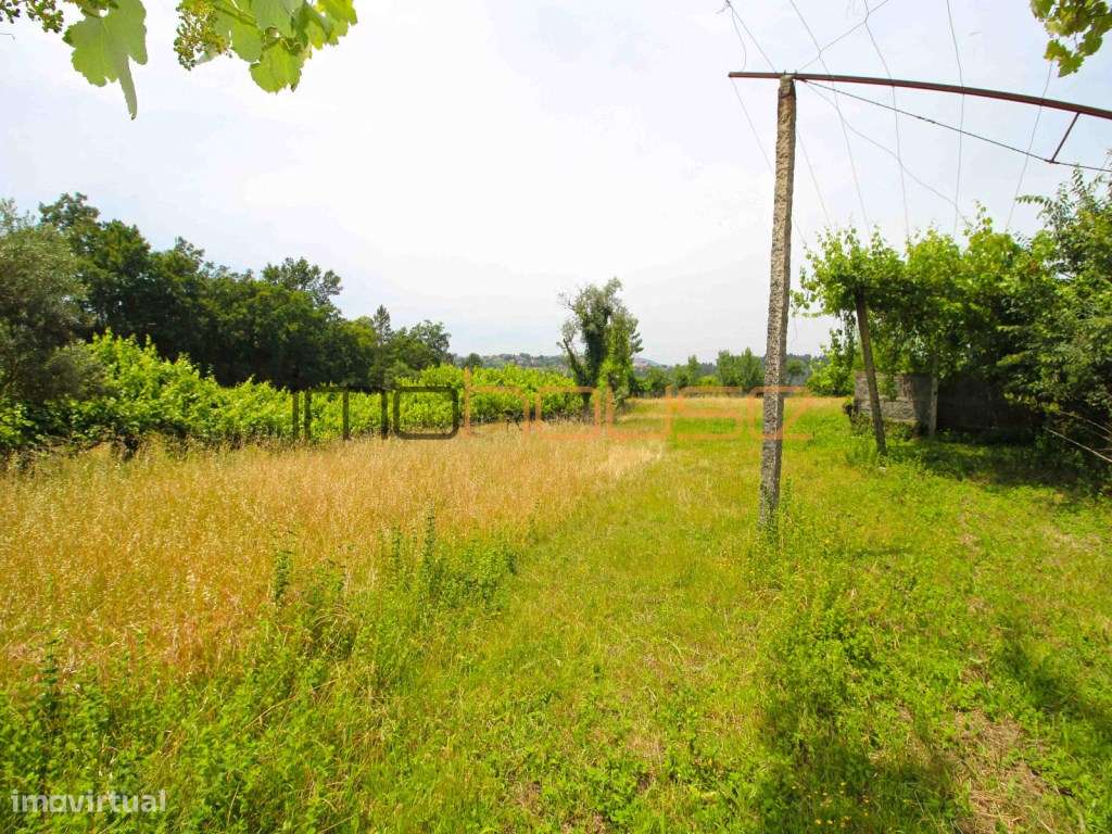 Quinta do séc. 18 - Amarante-40