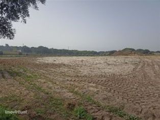 Amplo lote de terreno em Fazendas Almeirim