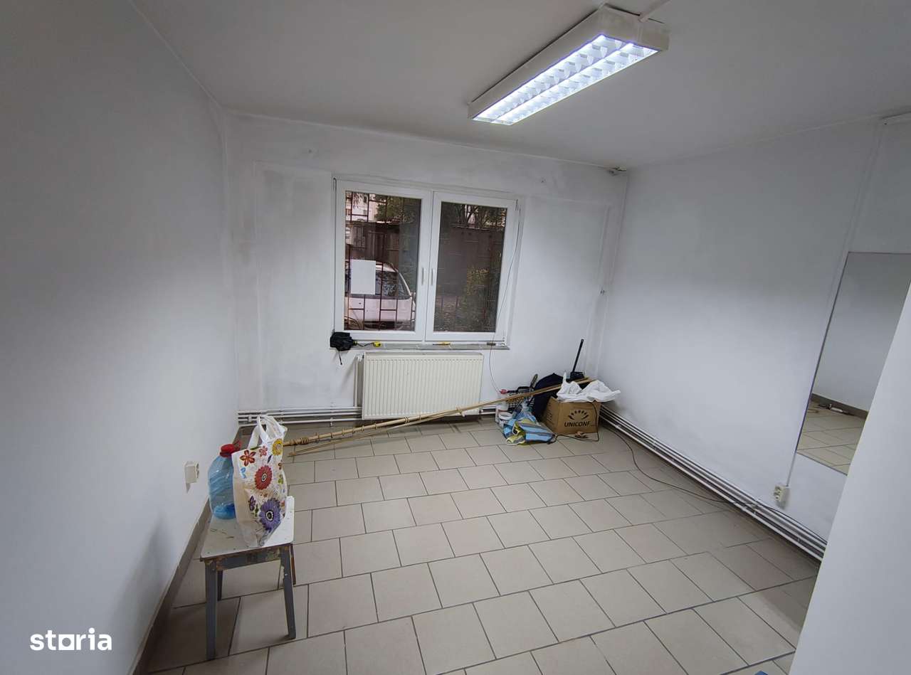 Spatiu 43mp , Tudor Vad Intens - Imagine principală: 5/7