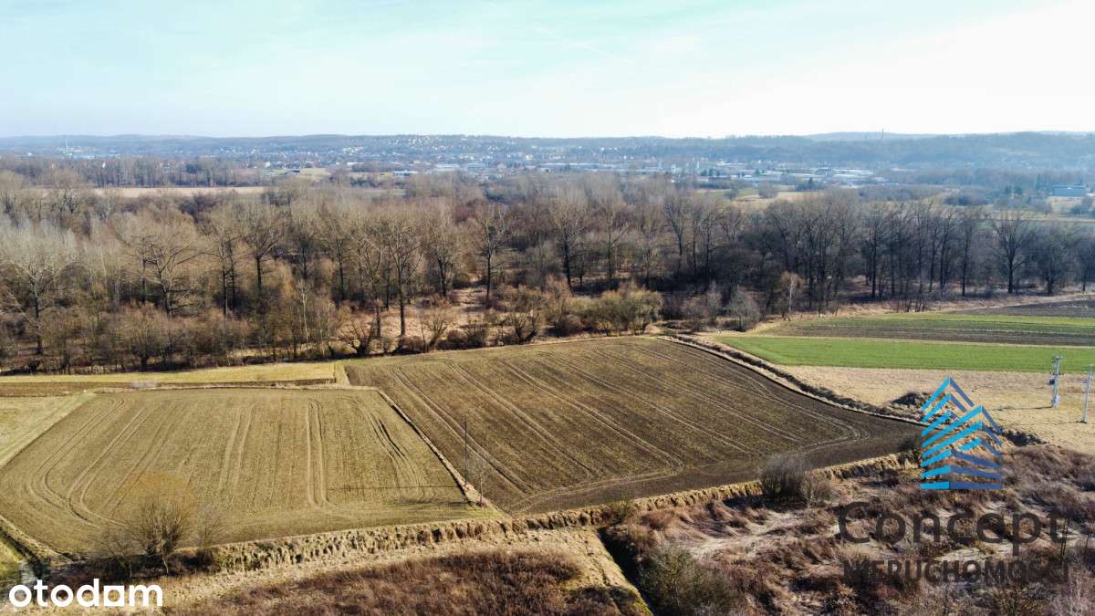 Działka rolna Damienice | 1,03 ha | 1,3245 hap - Pełny obrazek: 5/8