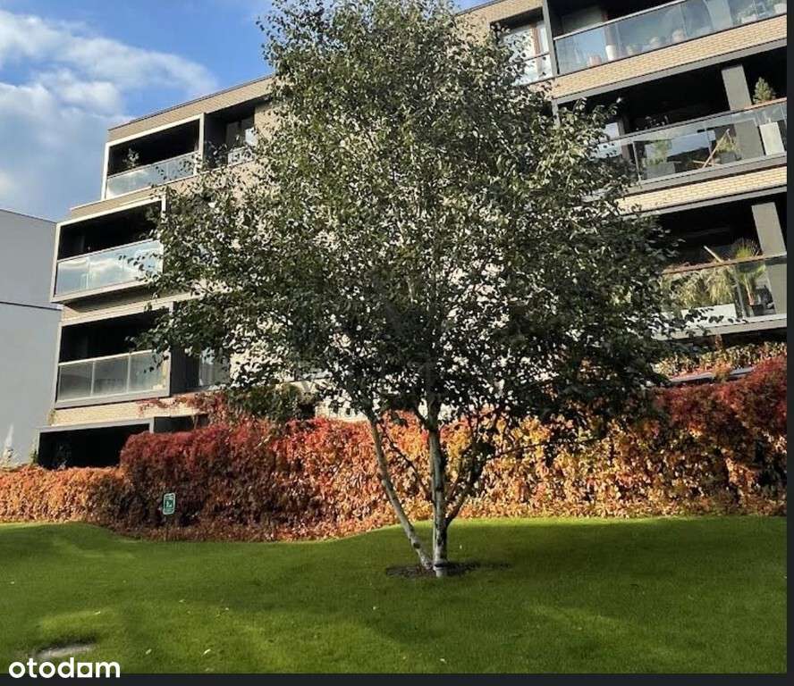 stan deweloperski / salon 50 m2 / 4 x garaż-17