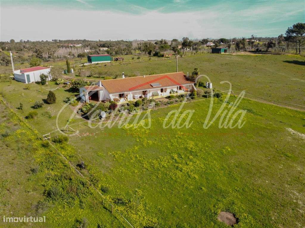 Quinta com 6,5ha em Vale Juncal - São Teotónio-33