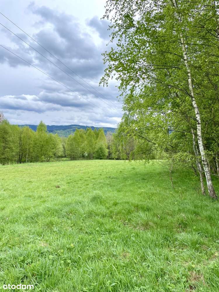 Atrakcyjna działka rolna - Gilowice k. Żywca-6