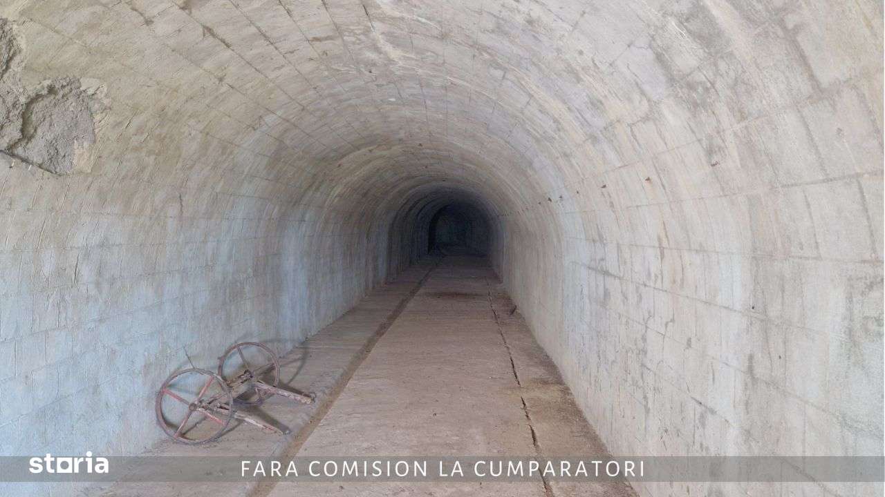 CRAMA - Oportunitate Unica in Domeniul Viticol-7