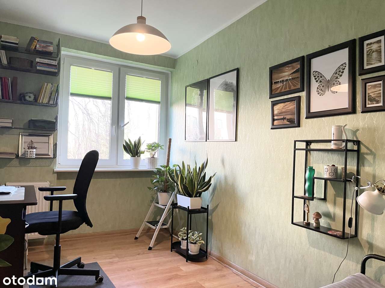 Oferuję przytulne 2 pokojowe mieszkanie Plac Dworcowy PARTER - Pełny obrazek: 5/17