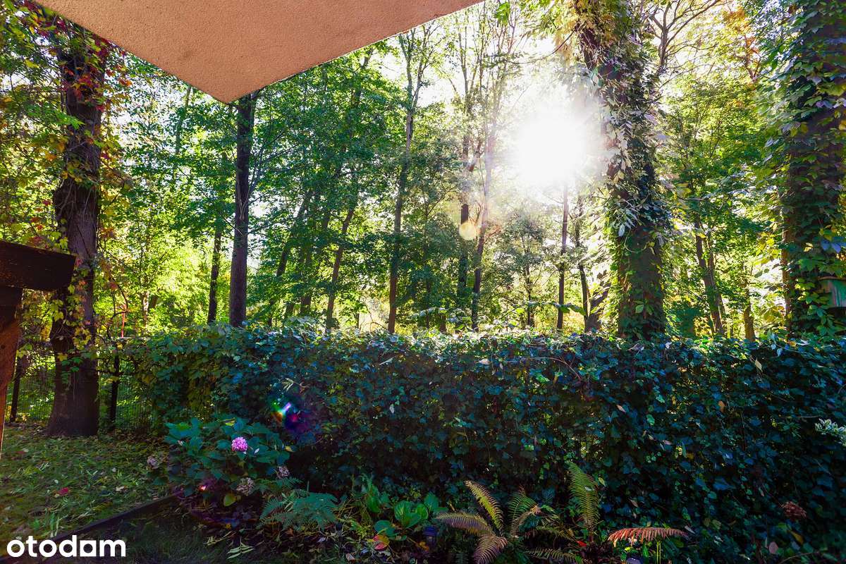 Twoja Prywatna Enklawa przy Parku Dolinka.-7