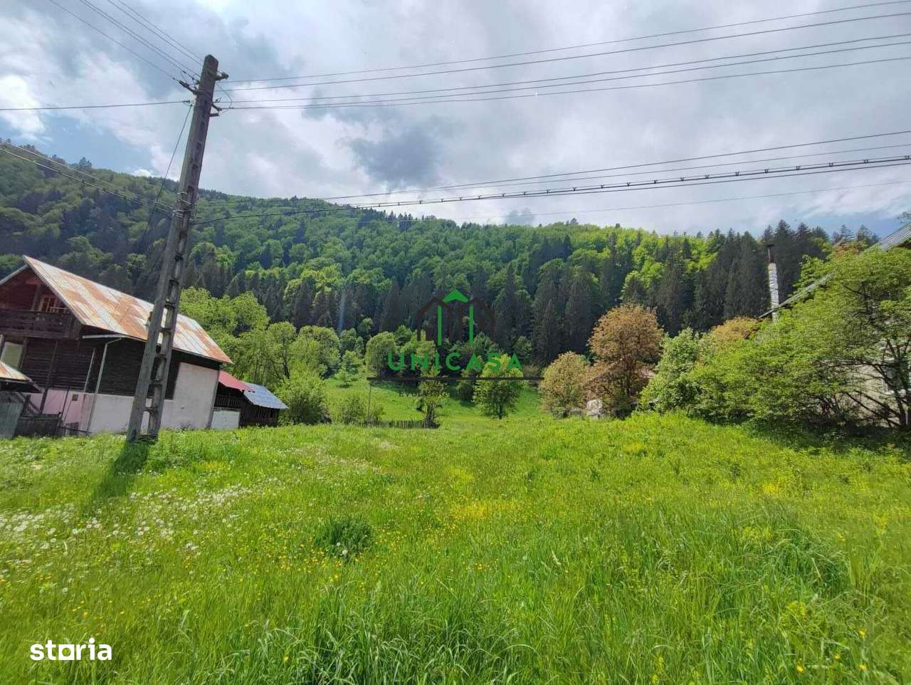 Teren Voineasa/Intravilan/5500 mp - Imagine principală: 3/4