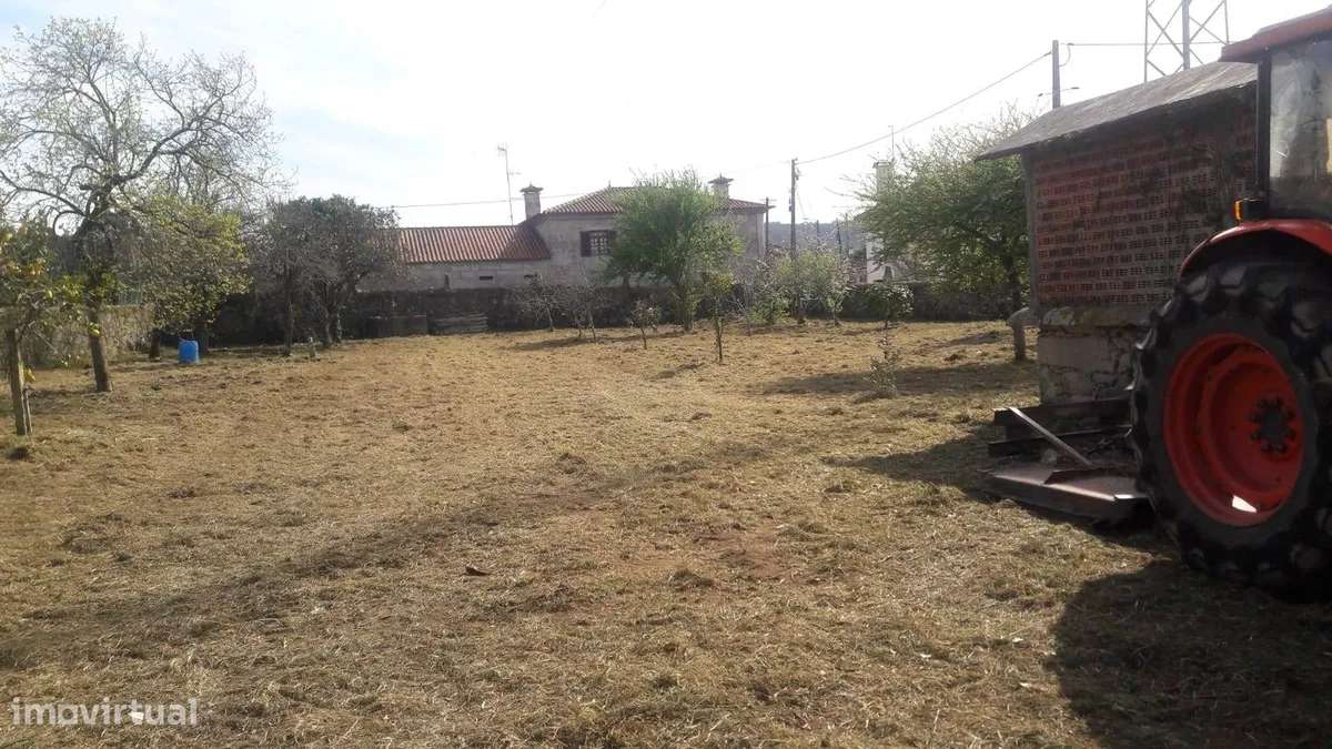 EDIFÍCIO EM CHAFÉ - Grande imagem: 5/5