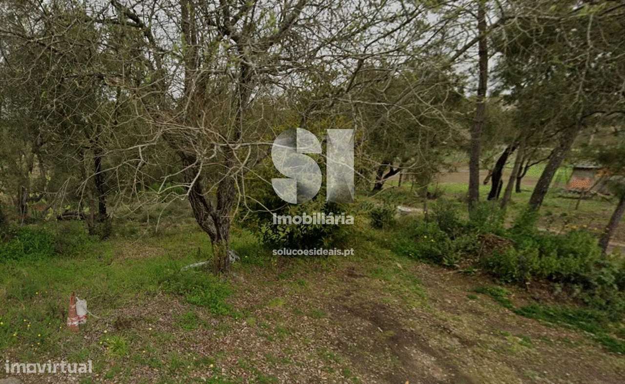 Terreno em Vila nova de poiares - Grande imagem: 4/4
