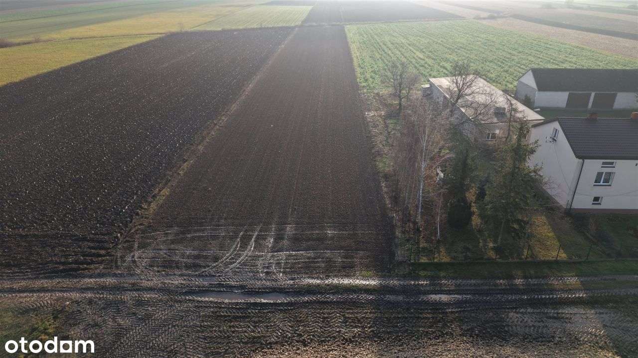 Twoje siedlisko blisko miasta – działka z Wz-4