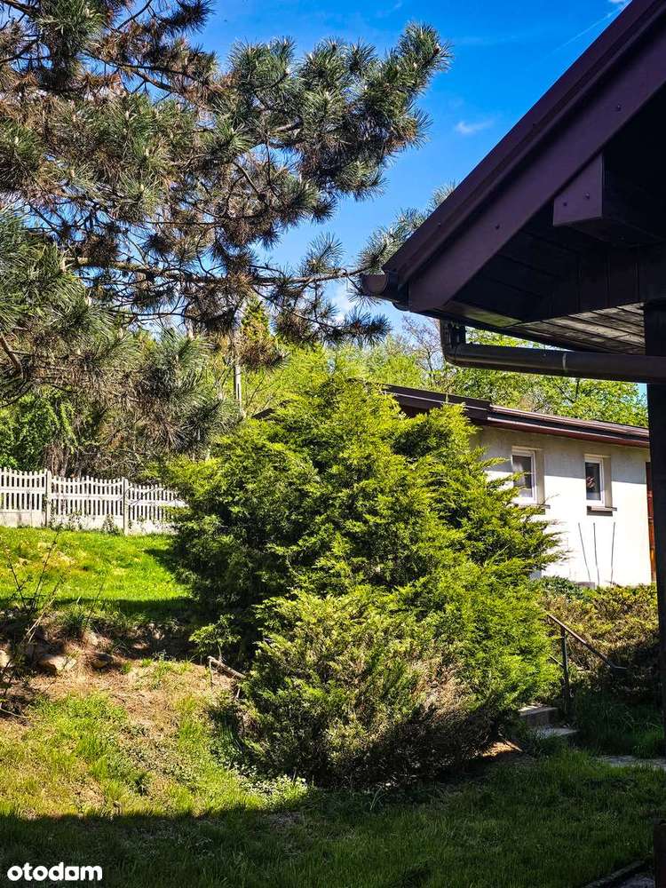 Dom Gaj | 4 działki (3xMNU)| duży potencjał pod zabudowę lub sprzedaż-11