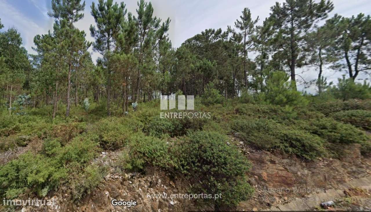 Venda de Terreno agro-florestal, Laundos, Póvoa de Varzim - Grande imagem: 4/4