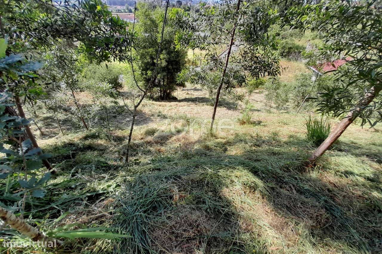 Terreno Urbanizável na Rua do Sá, Esporões-7