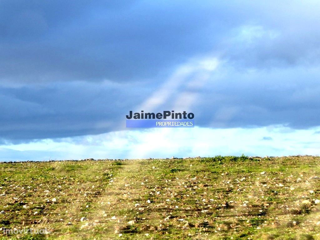 Propriedade 135.000m2 de terra p/ plantações novas. Portugal, Figue...