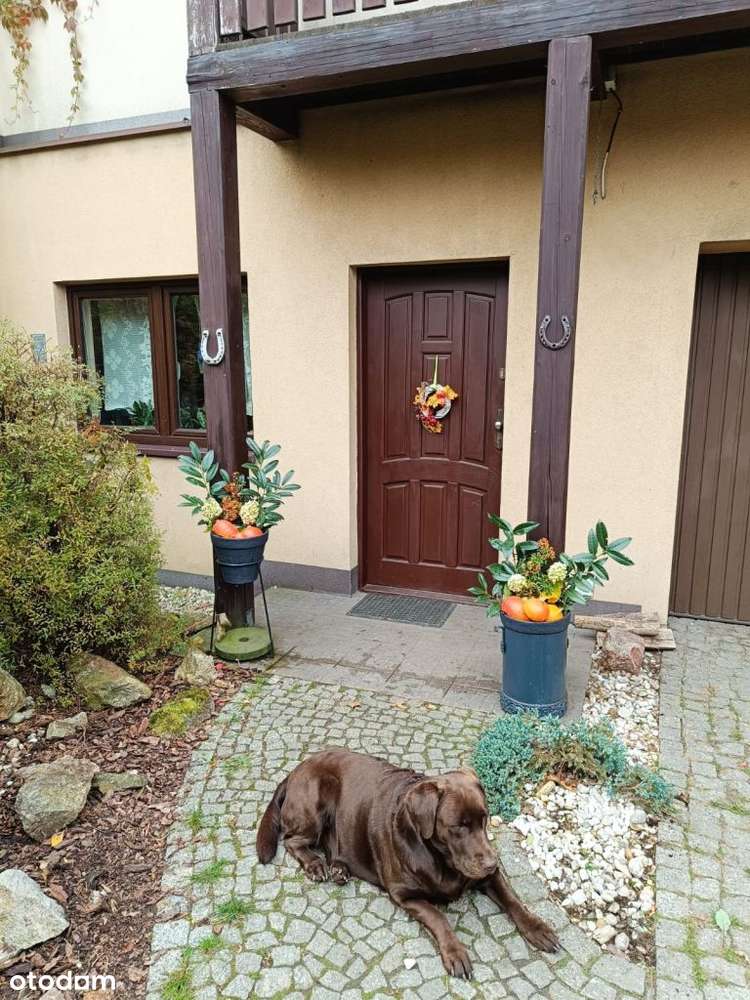 Słoneczne Wzgórze, klimatyczny dom z pięknym ogrod-6