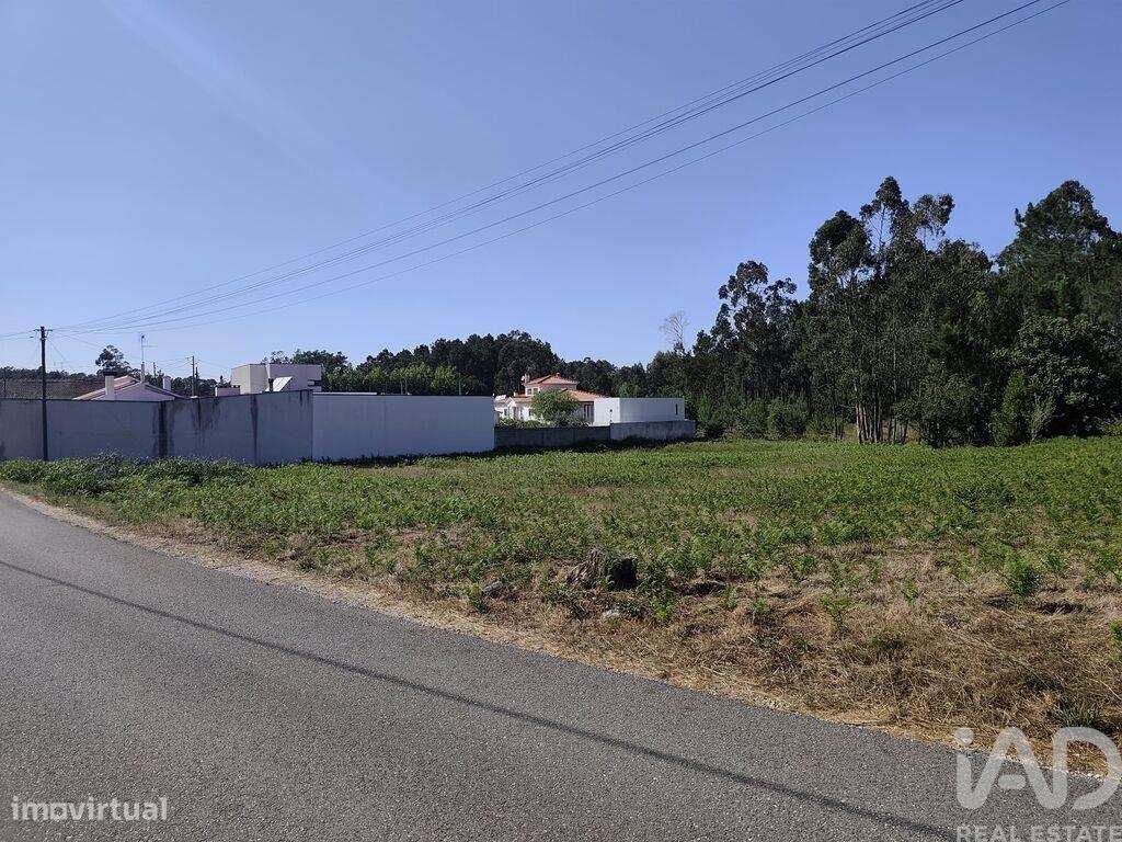 Terreno Agrícola em Maceira - Grande imagem: 2/10