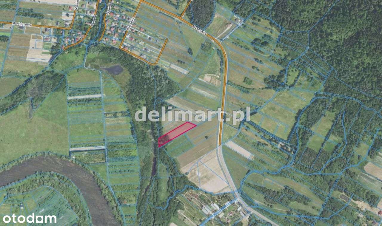 Atrakcyjna działka 6311 m² – Bykowce - Pełny obrazek: 4/7