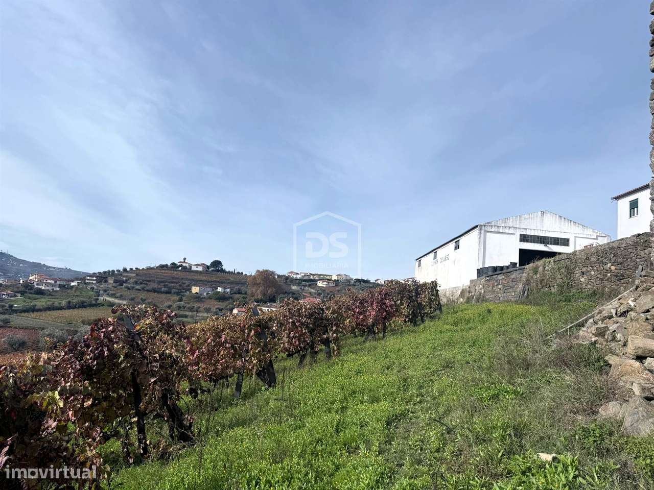 Quinta T4 Venda em Fontelas,Peso da Régua-22