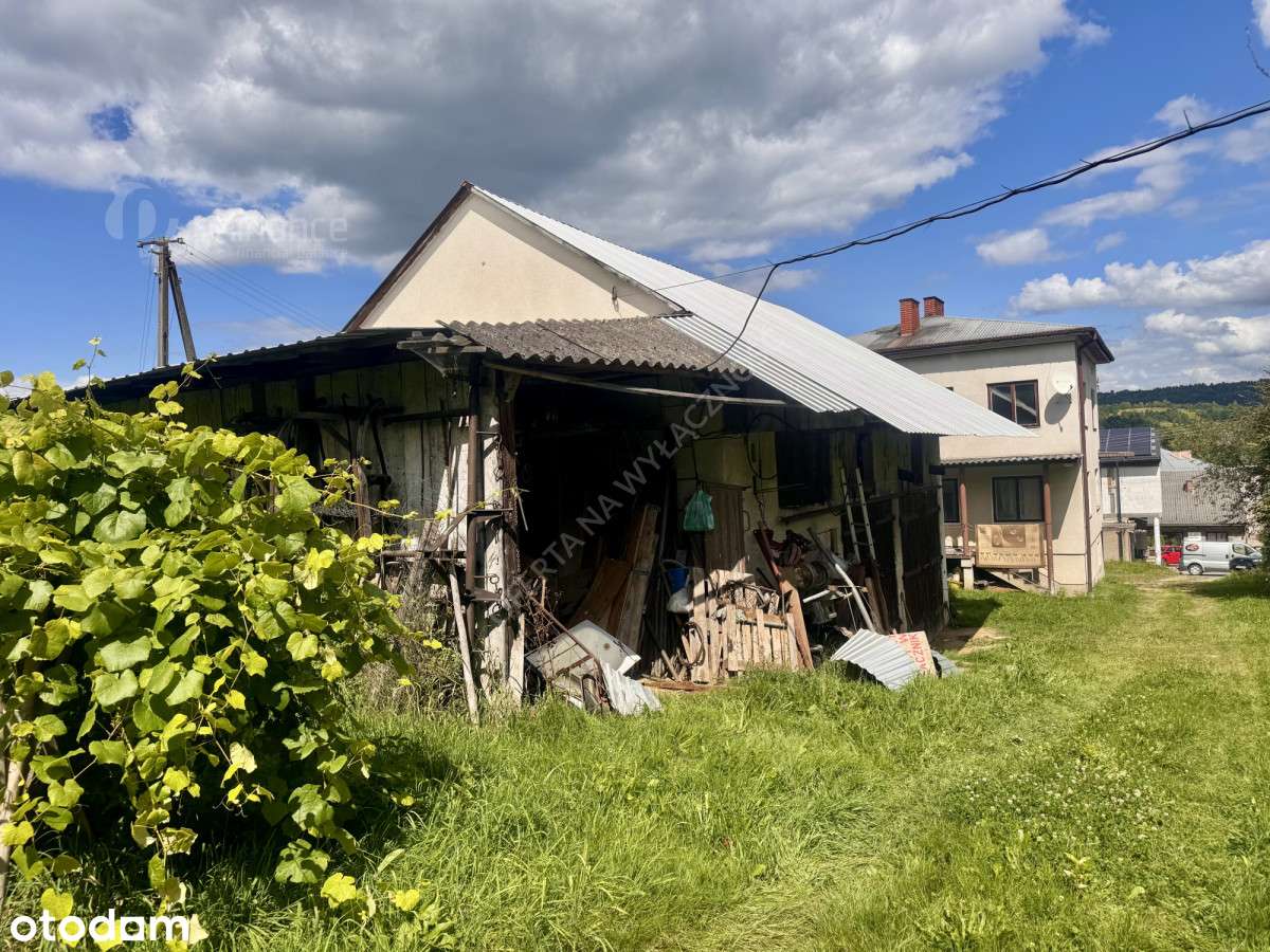 685872 - Pełny obrazek: 4/20