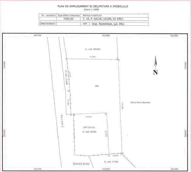 Teren 3.000 mp intravilan + 7.000 mp padure – Cernica, DJ301,A0 - Imagine principală: 4/4