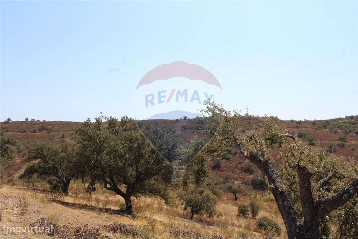 Terreno  para venda - Grande imagem: 2/6