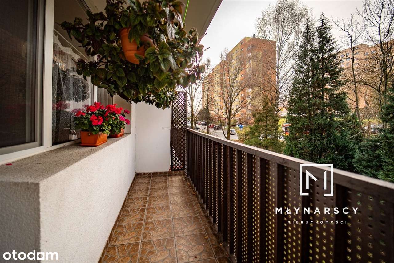 Kawalerka|do wejścia|Wojska Polskiego|2 Piętro - Pełny obrazek: 4/14