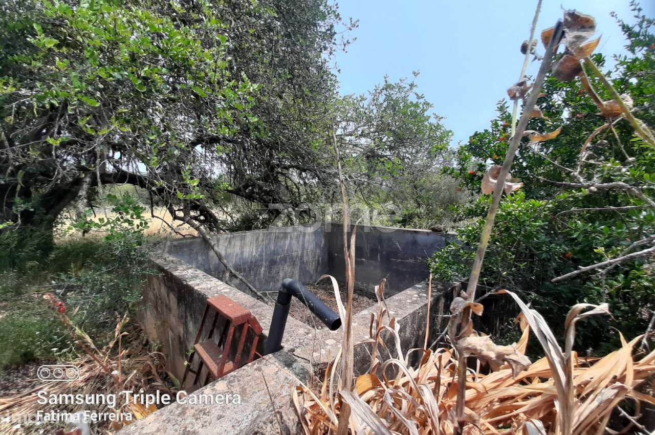 Moradia com terreno com 1ha - Grande imagem: 2/10