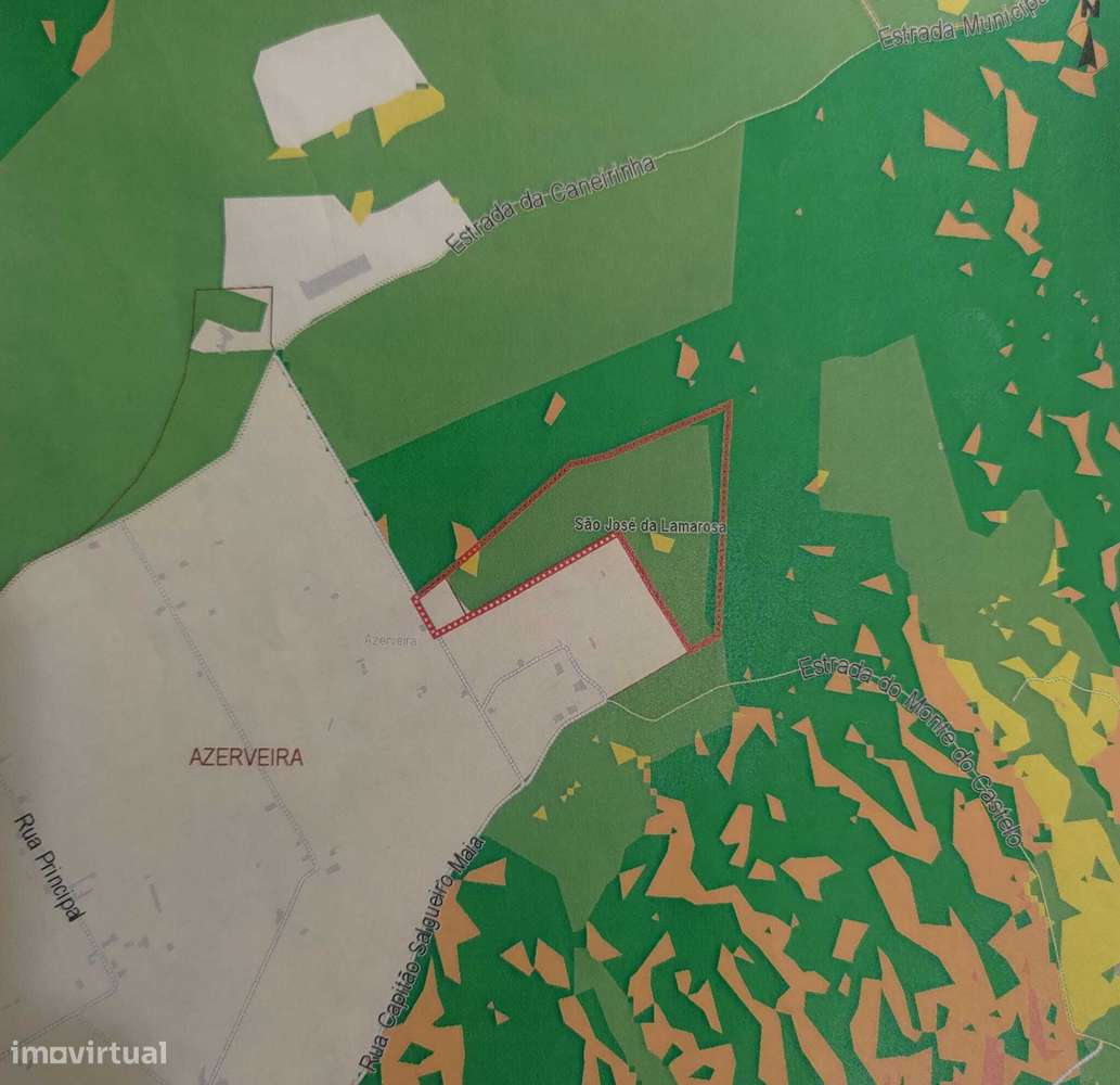 Propriedade 4 hct na zona  Coruche / Almeirim - Grande imagem: 5/6