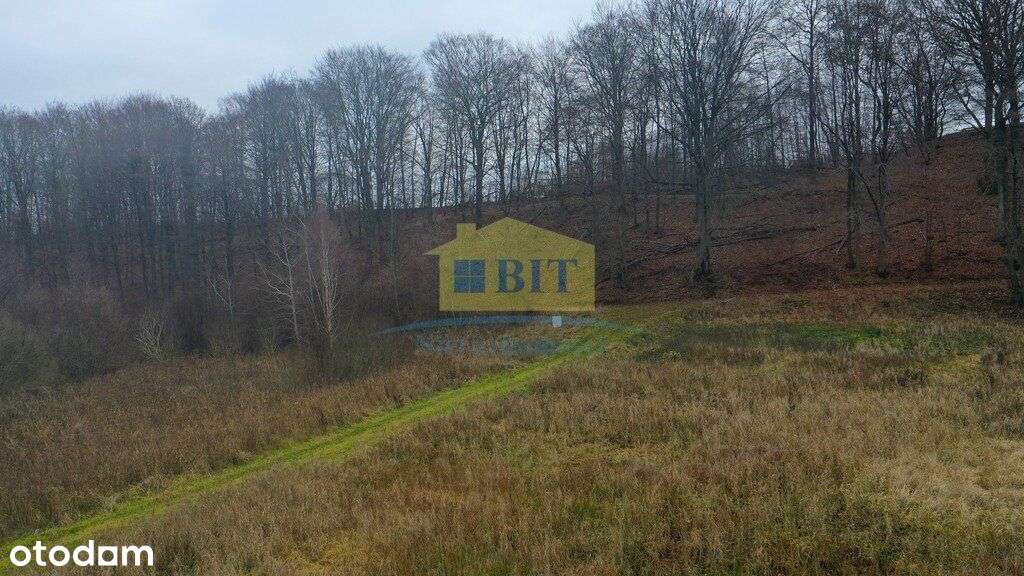 Działka z dostępem do jeziora, Łubowo-14