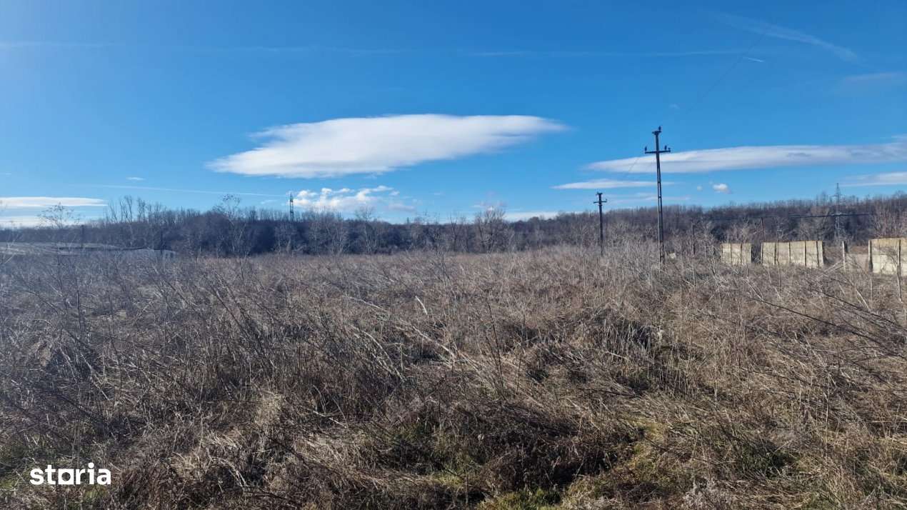 26.000 MP TEREN+HALA COSTESTI - Imagine principală: 2/3