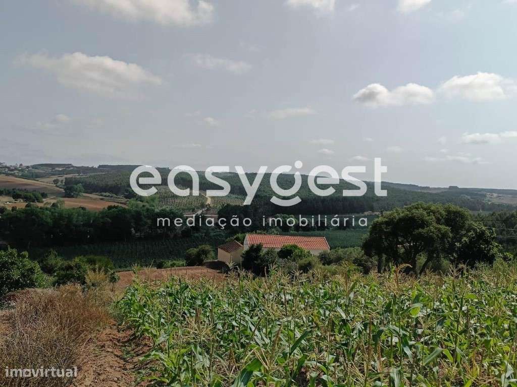 Terreno Rústico localizado no meio da natureza e dentro do PDM - Grande imagem: 5/15