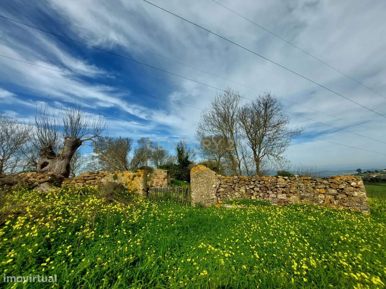 Quinta - 25 hectares-12