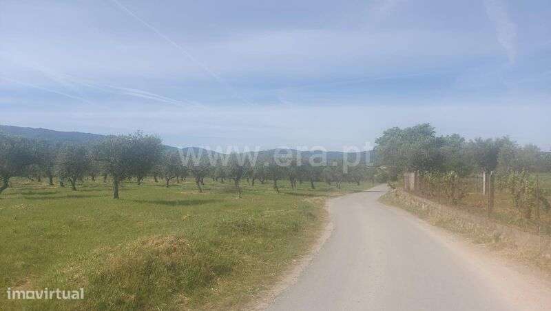 Terreno Rústico / Fundão, Alcaria - Grande imagem: 1/3