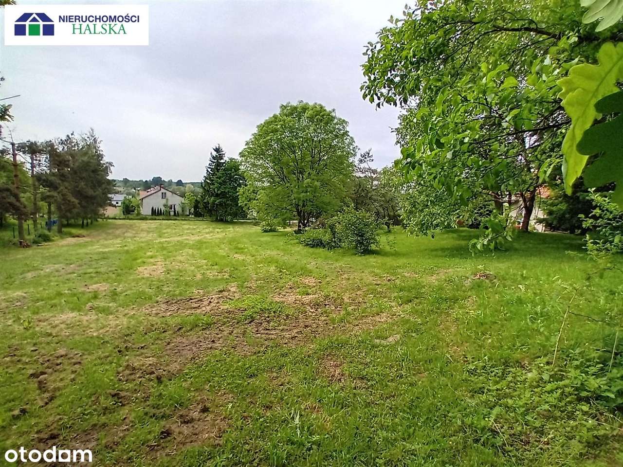 Dom+duża działka budowlana -k.Zator-Energylandia! - Pełny obrazek: 5/14