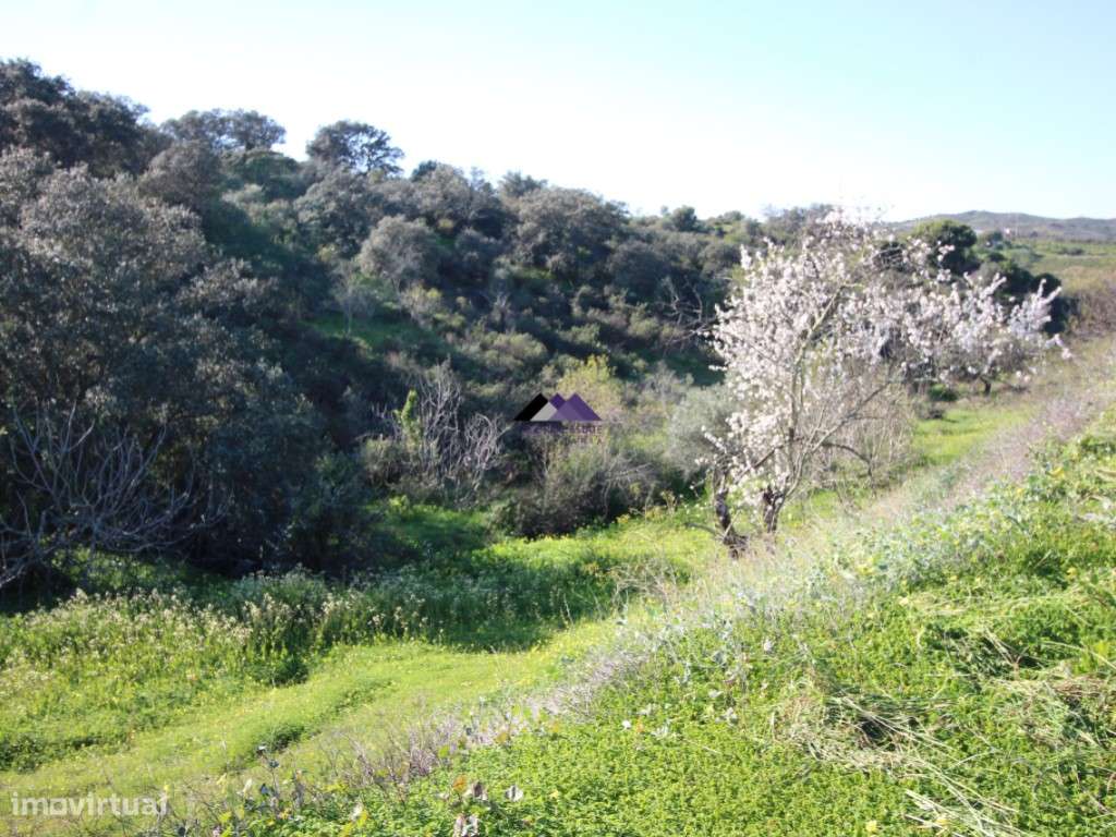 Terreno Rústico | 34.000 m² | Corga da Madeira - Junqueira, Castro ...-15