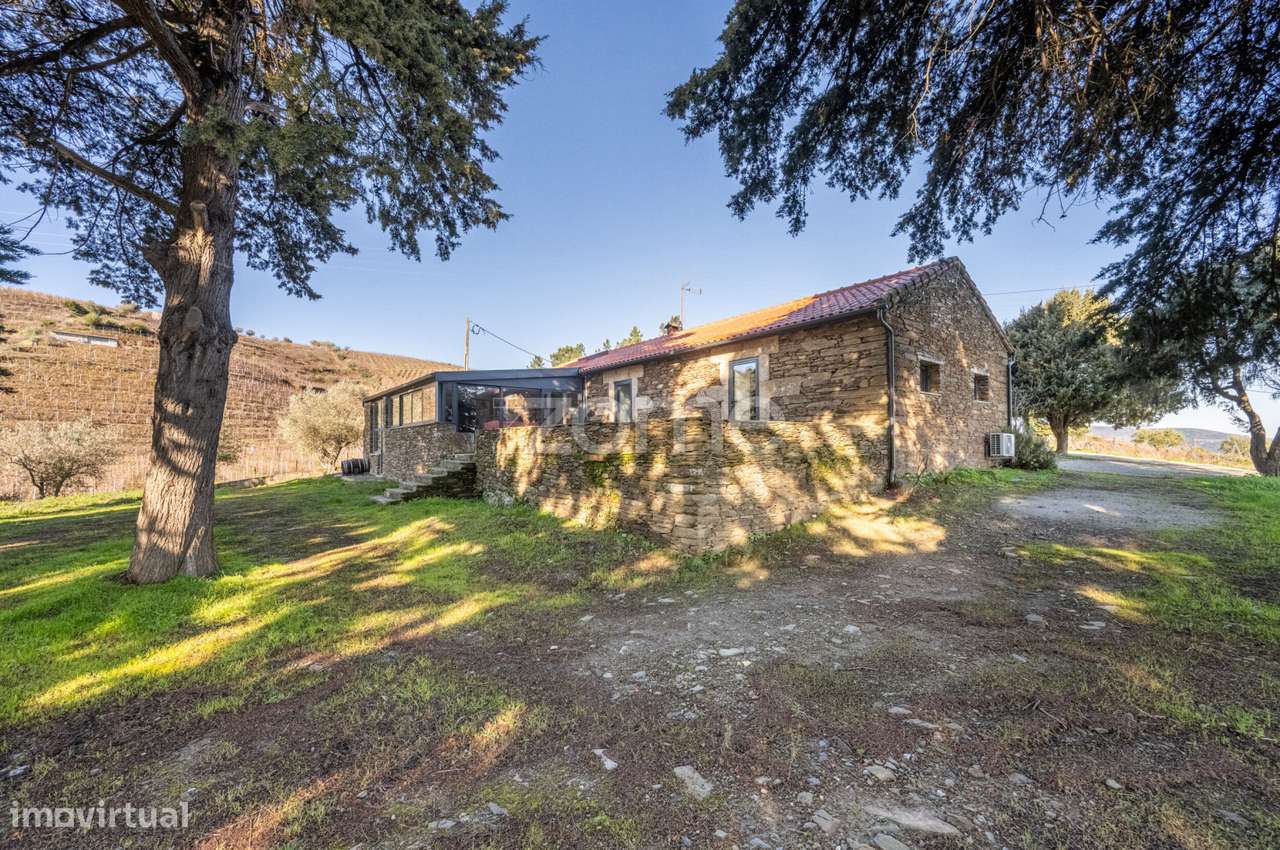 Quinta com 14 Hectares em Pleno Douro Vinhateiro - Grande imagem: 3/60